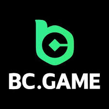 Comprehensive Reviews of BC App A Deep Dive into Features and User Experience